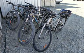 Alps 2 Ocean Cycle Trail bikes